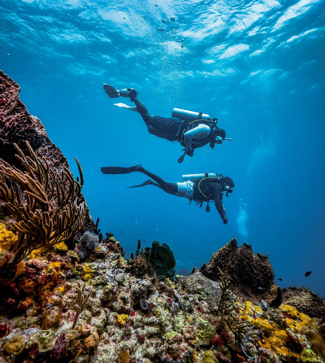 Go on a Scuba Diving Adventure