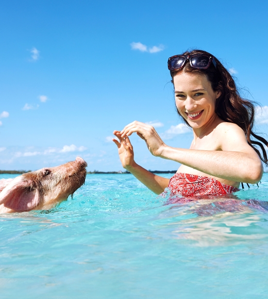 Exuma Swimming pigs adventure