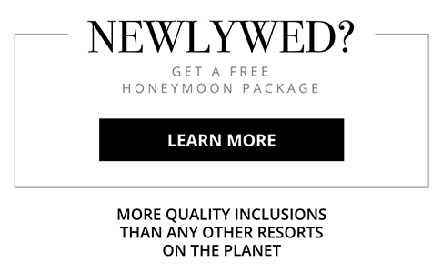 Newly wed free honeymoon packages - Learn more