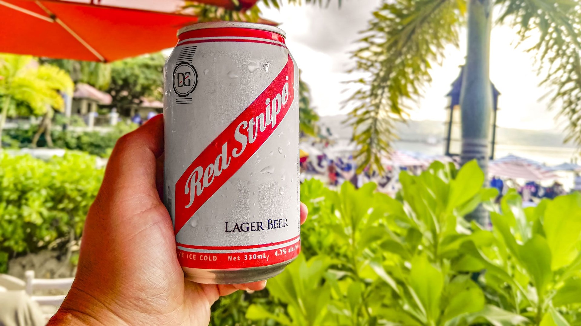 Red Stripe Jamaican Beer