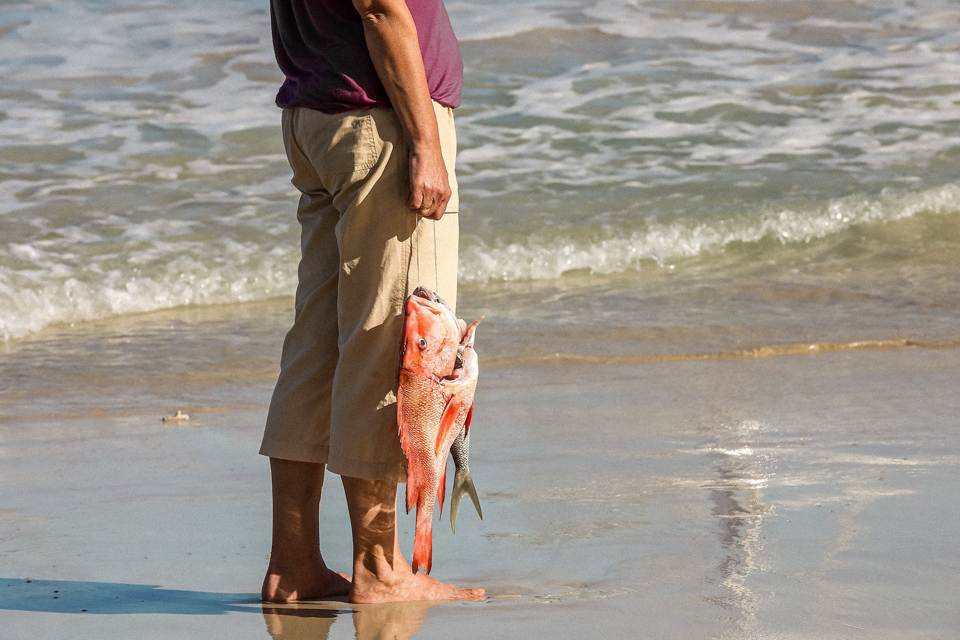 Turks Caicos Fishing Snapper Shore Fishing