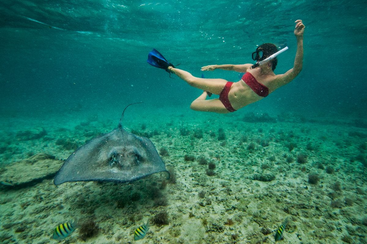 snorkeling