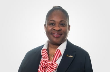 financial controller, technical services division