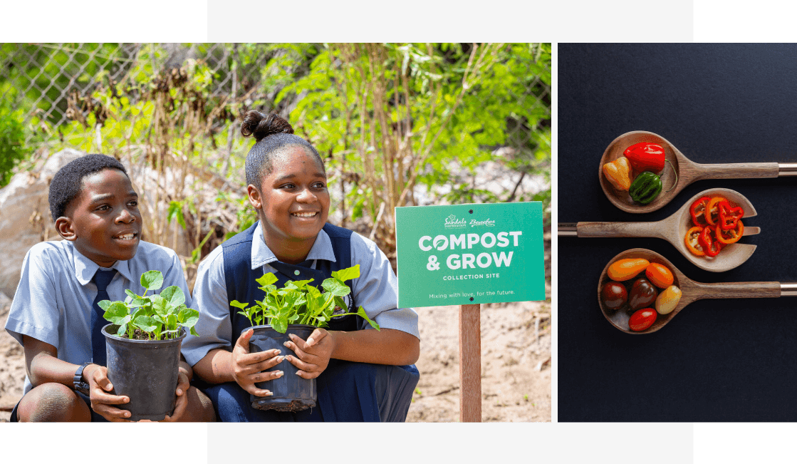 executive chairman, sandals & beaches resorts