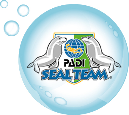 Seal Team Program