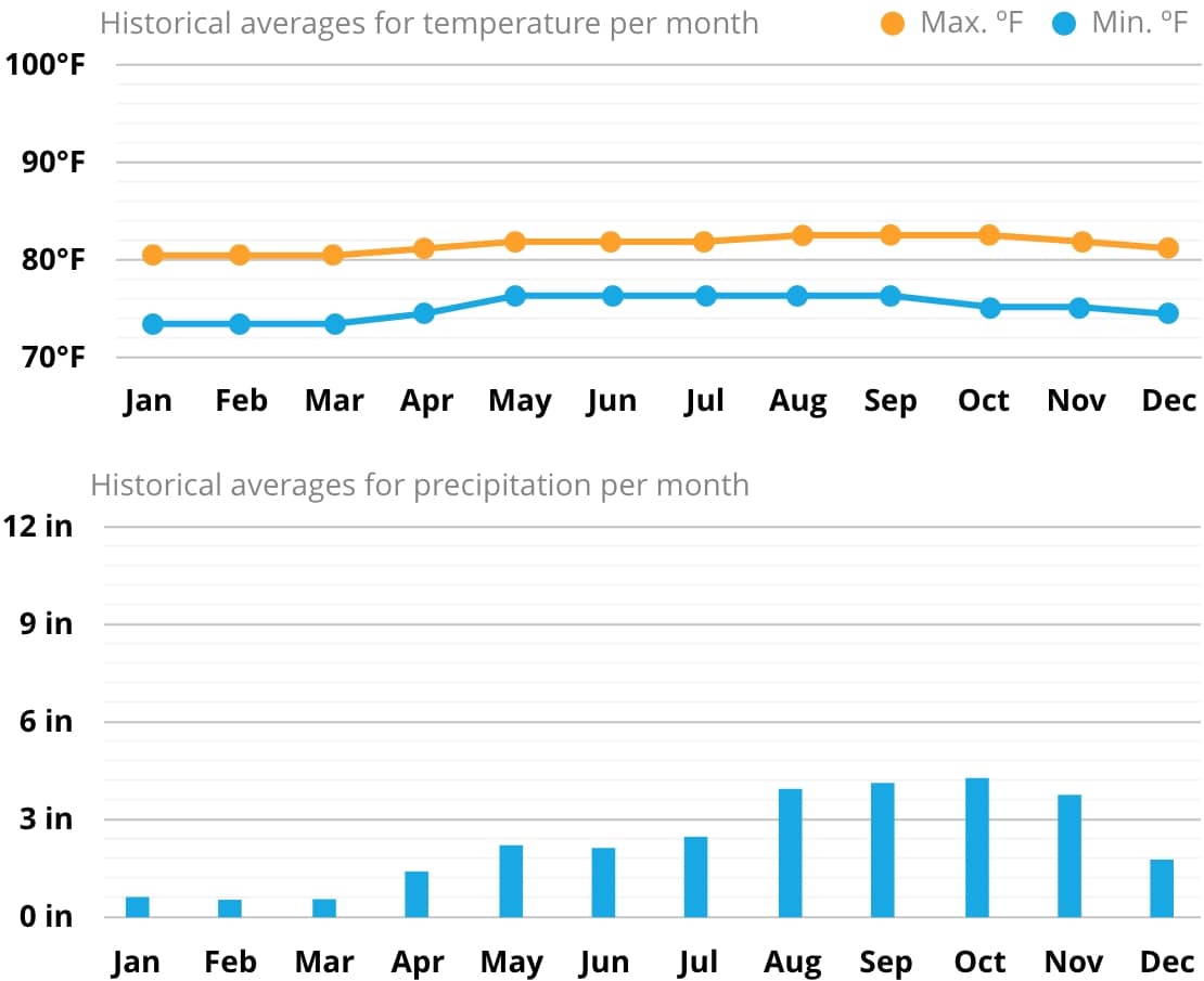 copy-12-graph.jpg