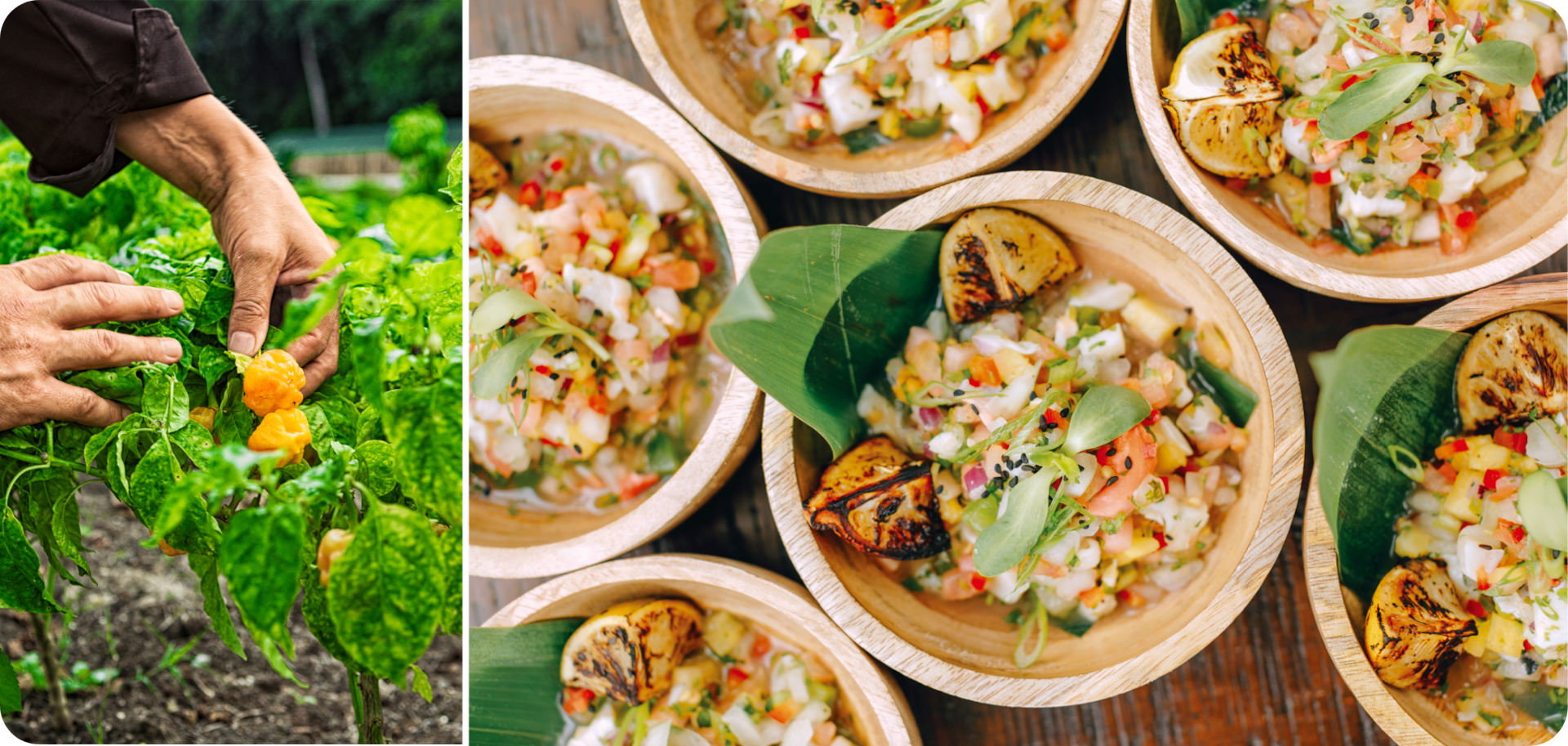 Farm-to-Table