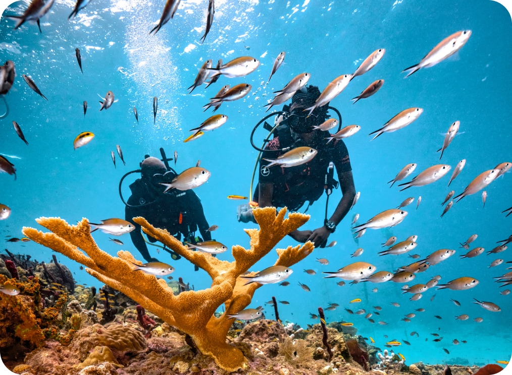 Sandals Regency La Toc