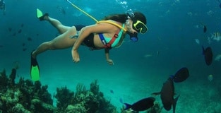 Underwater Paradise: 5 Reasons to Give SNUBA®  a Try