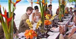 Small Wedding Parties Receive More Upgrades and Inclusions This Fall!