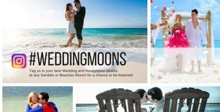 Sandals Wedding Blog Begins New Instagram Pics of the Week Series