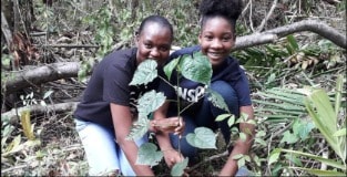 Sandals Resorts International Honors Earth Day Celebrates Work of Sandals Foundation Connecting Visitors to Sustainable Environmental Efforts 