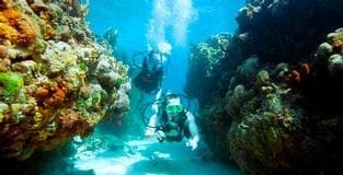 Live it Up N? Dive Returns to Beaches Resorts this Fall