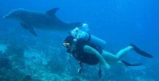 National Geographic Diver Program at Beaches Turks & Caicos