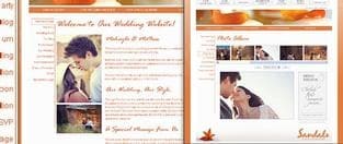Create Your Own Personal Wedding Website