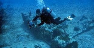 The Wonders of an Underwater Adventure