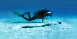 Sandals and Beaches Scuba Offers for 2013