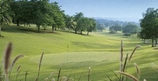 Sandals Select: Swing Your Way to a Free Luxury Included® Vacation