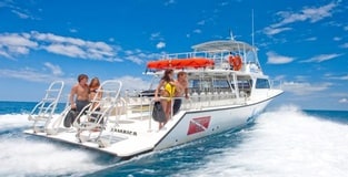Explore the Underwater World with Sandals and Beaches 