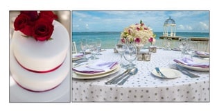 New Colors & Cake Flavor For the Ultimate WeddingMoon®