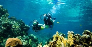 Sandals and Beaches Reaches Over 50,000 PADI Scuba Certifications