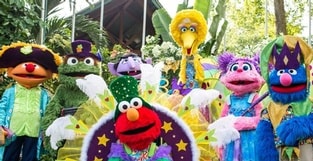 C is for…Celebrate!