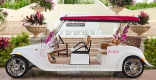 New WeddingMoon® Luxury: Your Wedding Chariot Awaits!