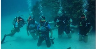 Sandals & Beaches Celebrate PADI® Women’s Dive Day