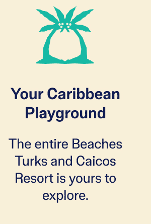 Your Caribbean Playground