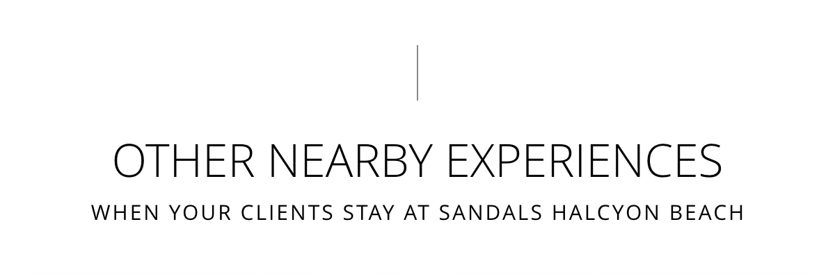 Other Nearby Experiences