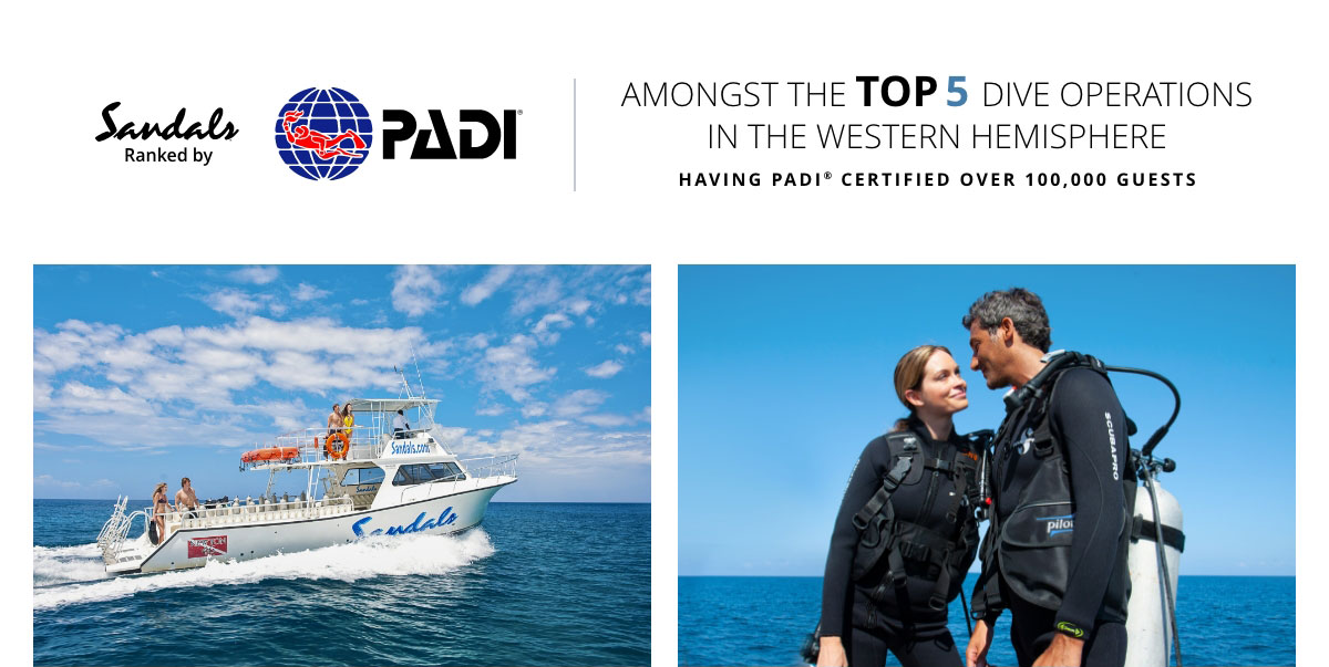 Amongst The Top 5 Dive Operations