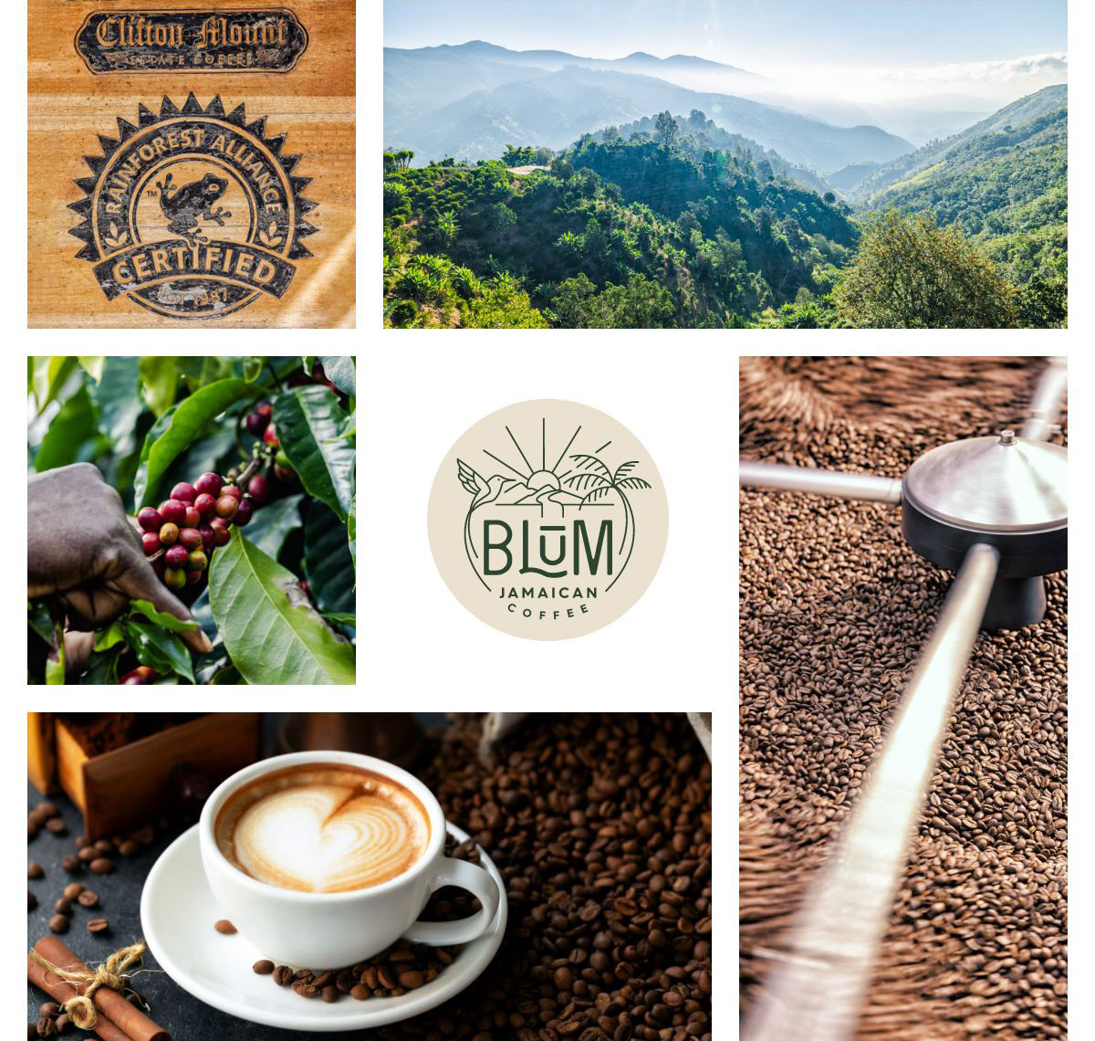 Blum Jamaican Coffee