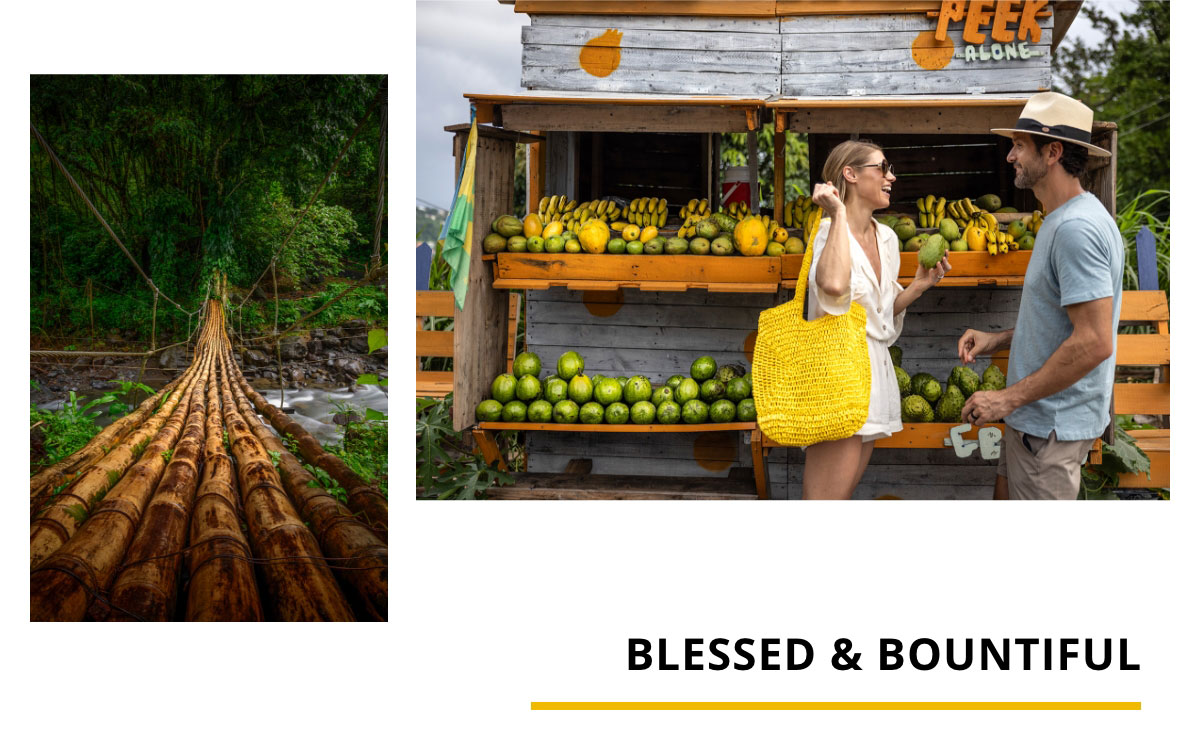 Blessed And Bountiful
