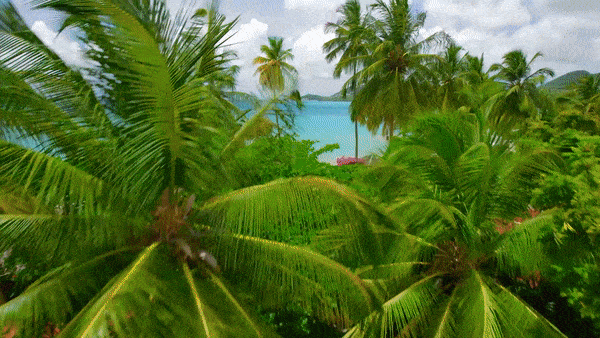 Sandals Halcyon Beach