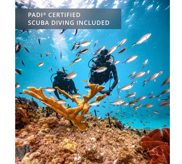 Scuba