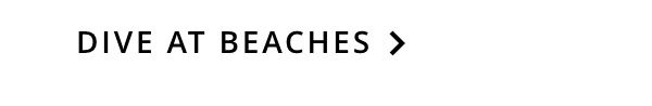 Dive At Beaches