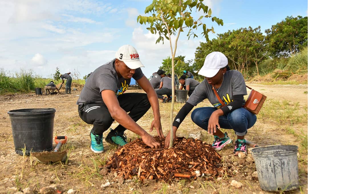 Eco-Friendly Comes Natural To Us