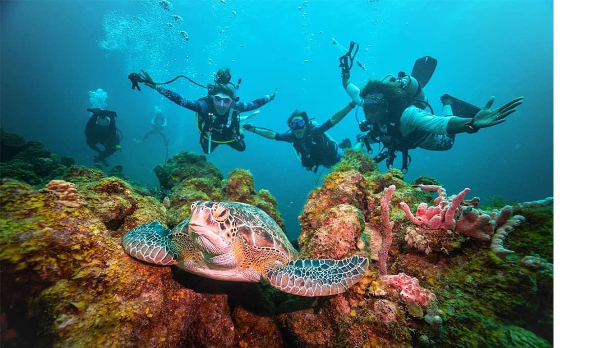 All-Inclusive Dive Resorts In The Caribbean