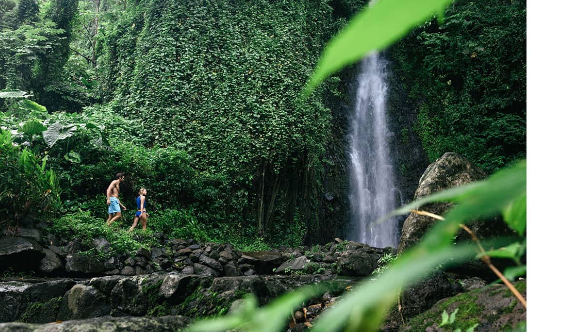Paradise Is Within Reach