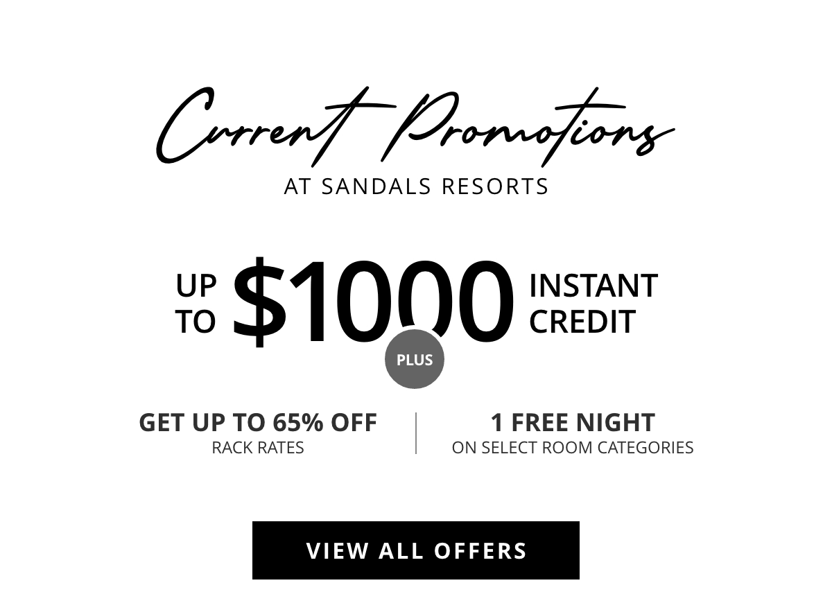 View All Offers