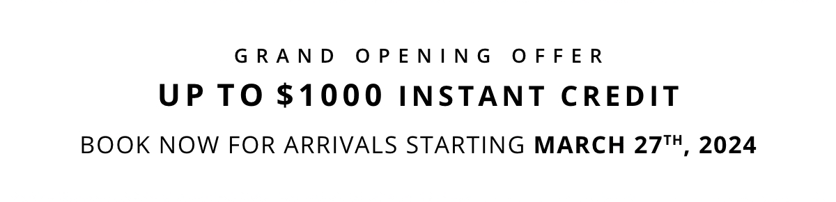 Instant Credit