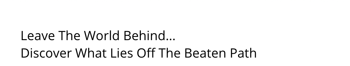 Leave The World Behind