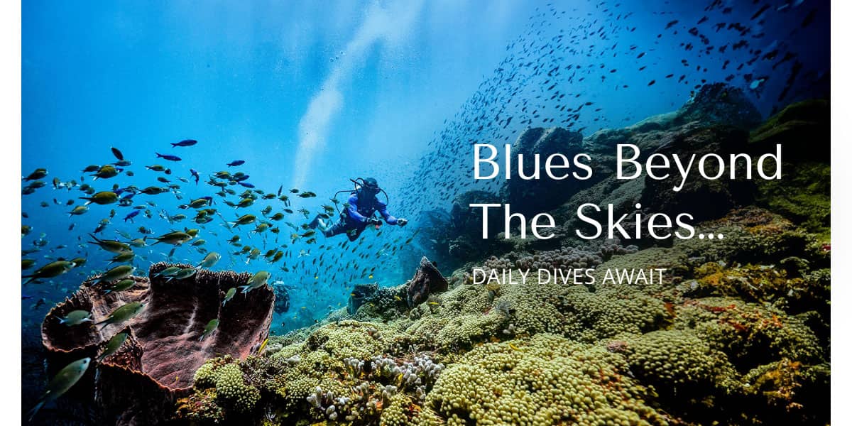 Blues Beyond The Skies