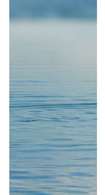 Rhythm And Blues