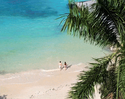 Sandals Resorts