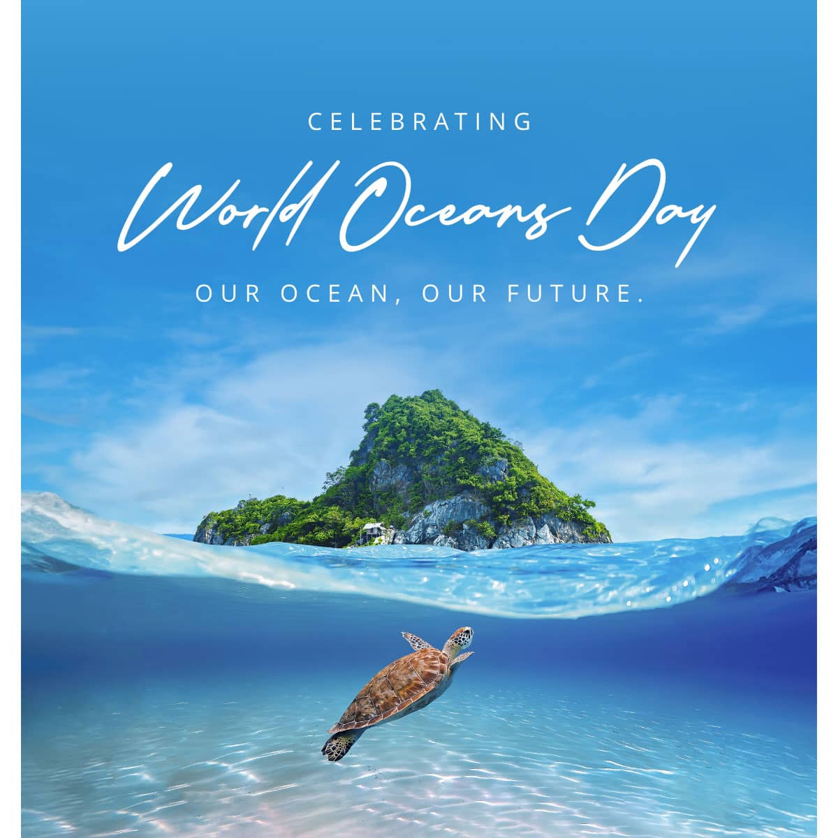 World Oceans Day