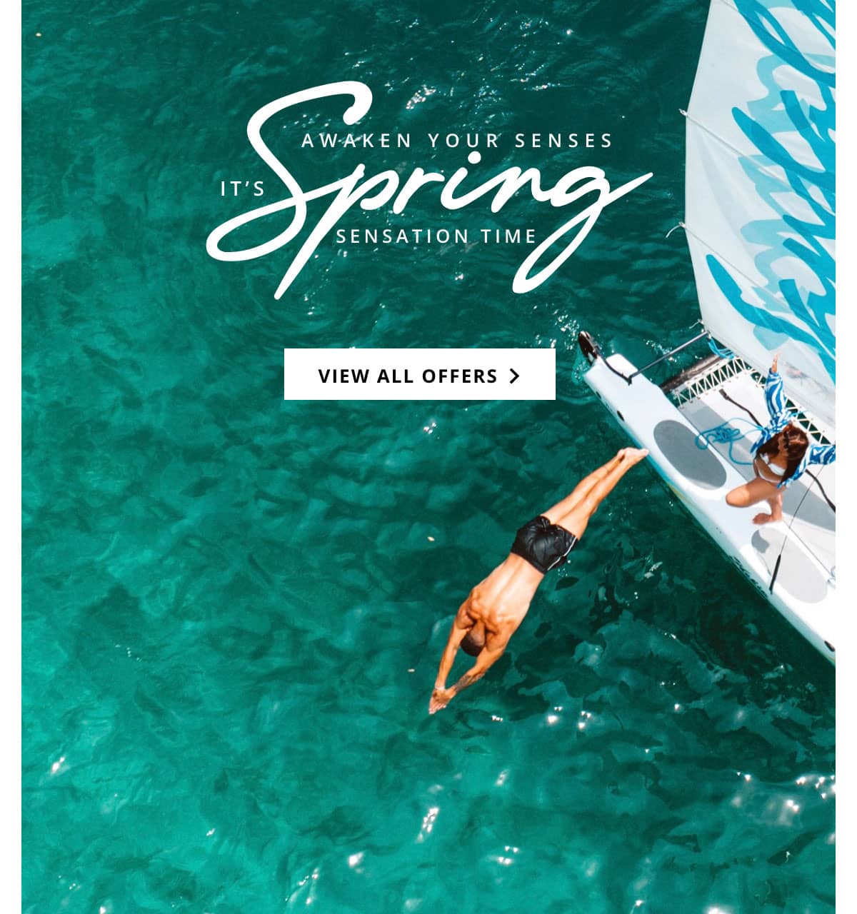 It's Spring Sensation Time