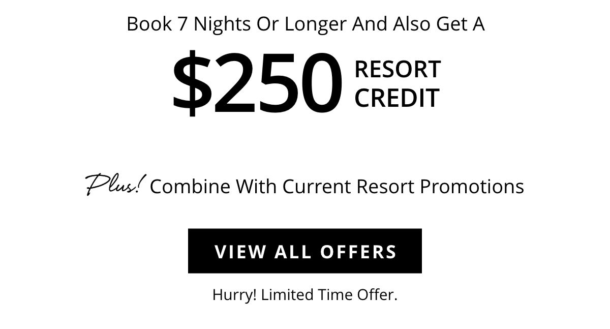 View All Offer