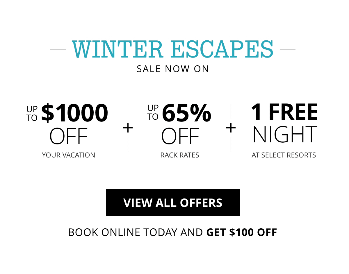 View All Offers