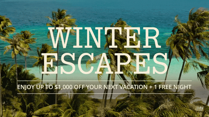 Winter Escapes